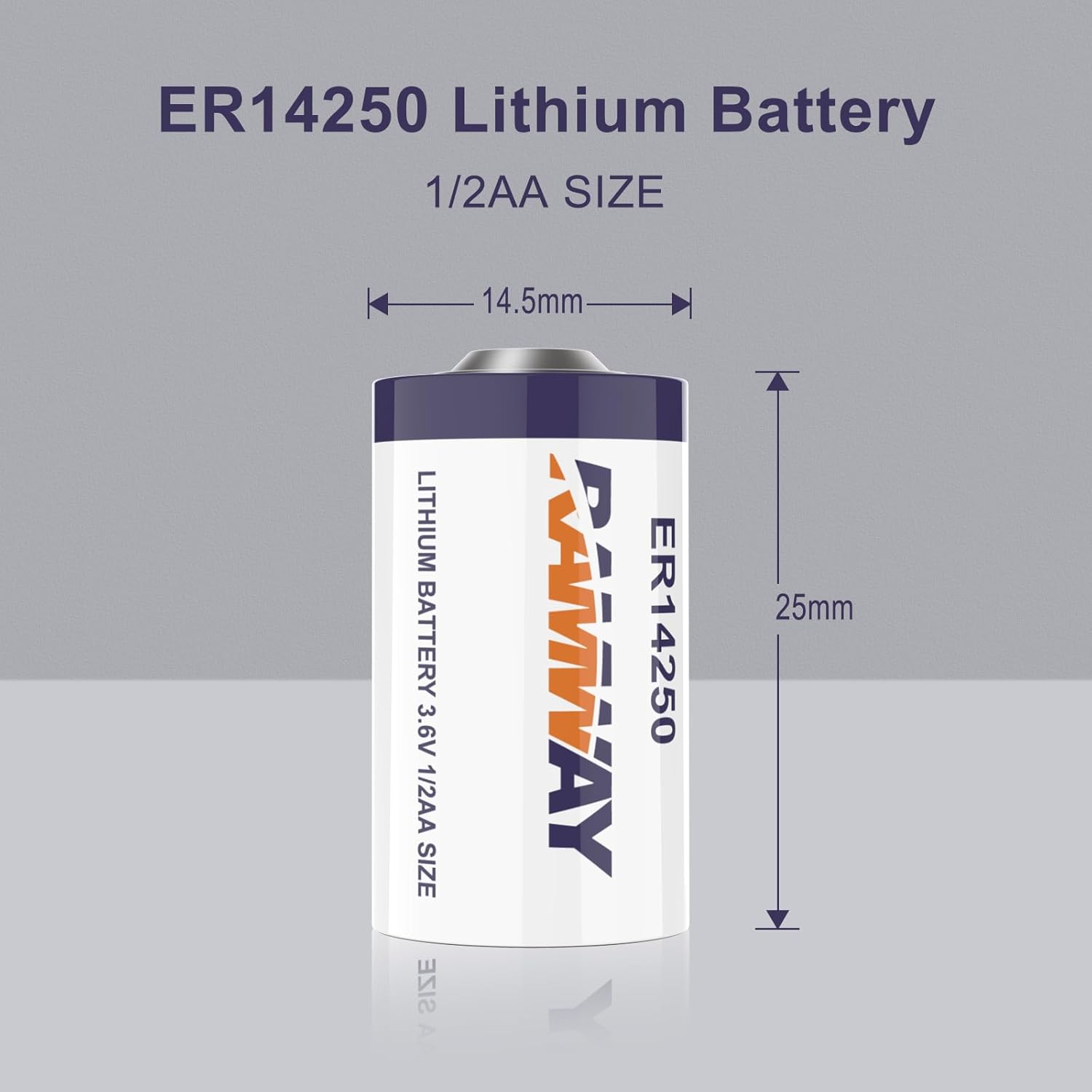RAMWAY ER14250 3 6V Lithium Battery 1 2 AA Size 14250 1200mAh High Ca ramway-er14250-3-6v-lithium-battery-1-2-aa-size-14250-1200mah-high-ca